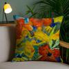 Adrianne Lenker - Songs Album Art Pillow Case Anti-Dustmite Pillowcase Invisible Zipper Silky Short Plush Sofa Cushion Cover