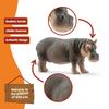 Schleich Wildlife Hippopotamus Figure 14814