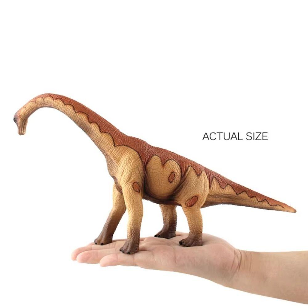 Apatosaurus Dinosaur Model Herbivorous Jurassic Dinosaur Dinosaur Action Figures  For Children