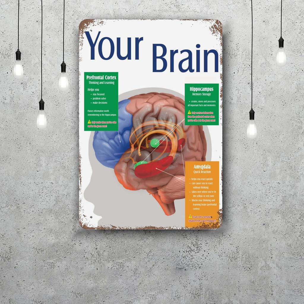 Brain Funny Bar Metal Sign Retro Plaque Vintage Sign Alcohol Drinker Pub Club Man Cave Kitchen Wall Decoration
