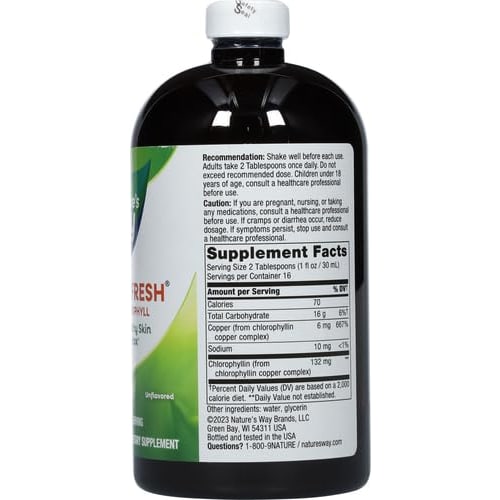 Chlorofresh Liquid Mint 480ml