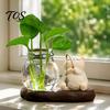 Minimalist Resin Craft Ornaments Leisure Fishing Frog/Cat/Panda/Bear Statue Ornaments, Clear Mini Vases Miniature Cute Animal Desktop Figurines