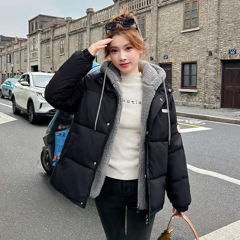 Women's Lambswool Short Down Cotton Jacket - 2025 Winter New Style