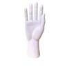 Men's Hand Mold Display Prop for Gloves, Labor Protection Model, Photography & Testing Aid