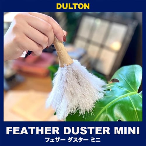 Dulton Feather Duster Mini Gray, 205mm Long (H20-0138GY)