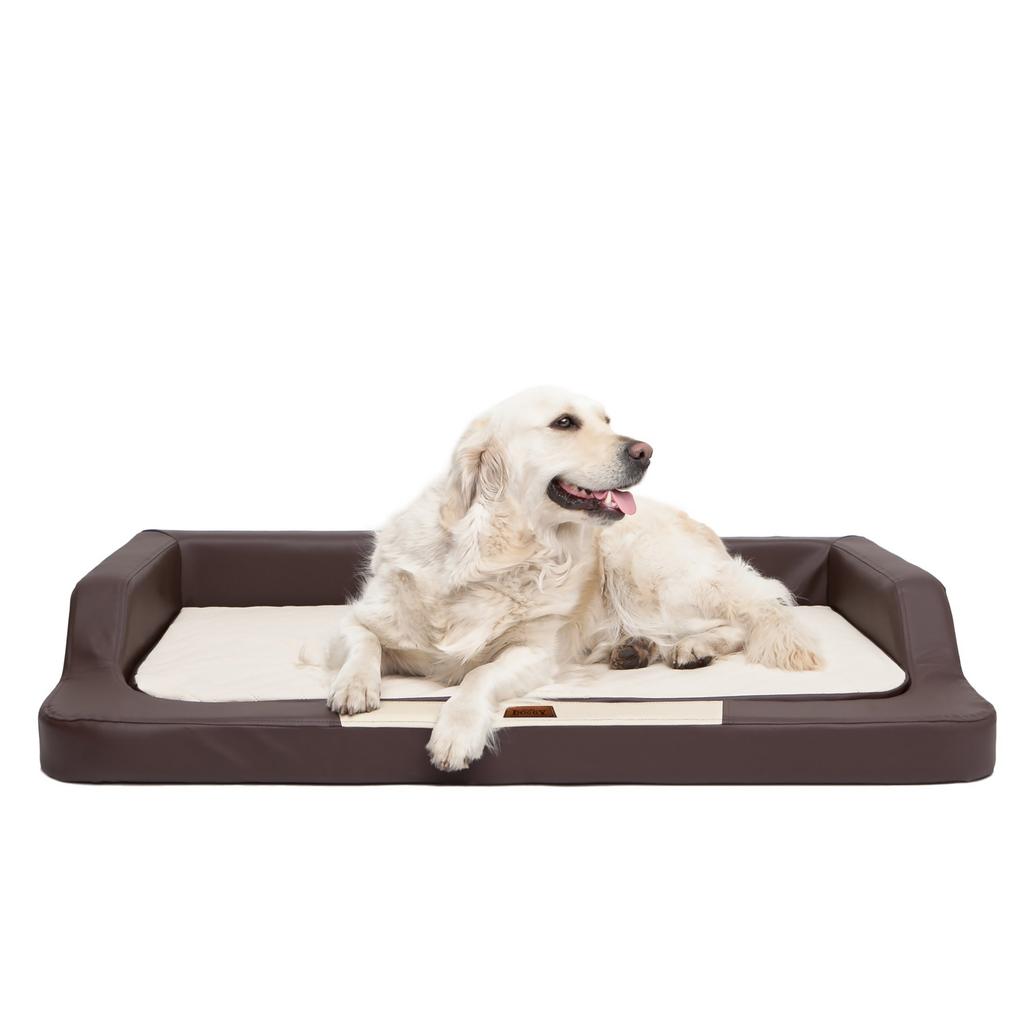 Ortho Special Dog Bed