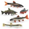 Plastic Authentic Fish Figurines Featuring Colorful Piranha Red Dot Salmon And Fish Yarrow