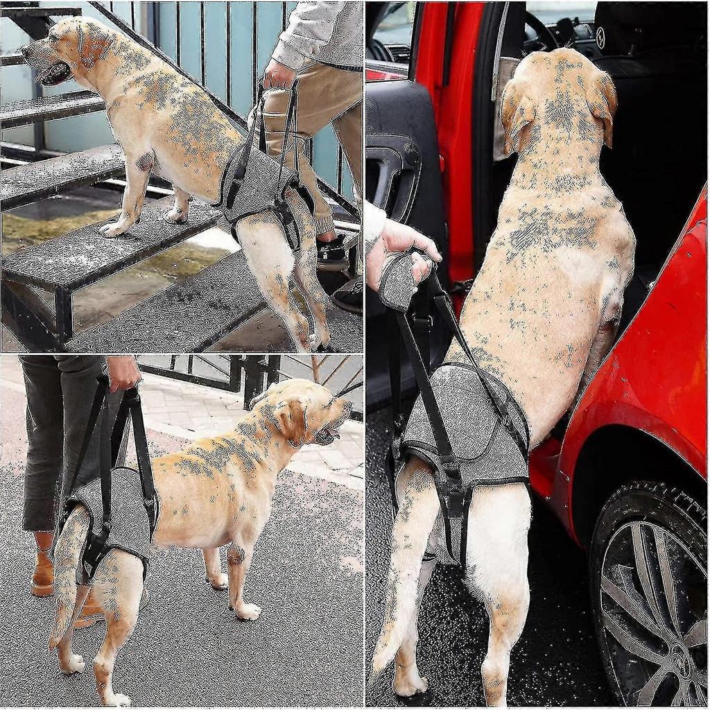 Dog Sling For Large Dogs Hind Leg Support To Help Rehabilitate The Hind Limbs Of Elderly Dogs With Weak Hind Legs Disabilities