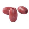 Fishing Tackle Accessories Fishing Float Buoyant Marker Hard Floating Indicators 6mm Diameter for Saltwater Freshwater