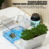 Small Turtle Tank Reptile Habitat Box Transparent Small Tortoise Breeding Box Reptile Terrarium for Reptile Crab Science Class
