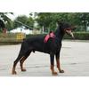 Puppy Harness Saddle Style Oxford Cloth Dog Harness for Dog Use Xl
