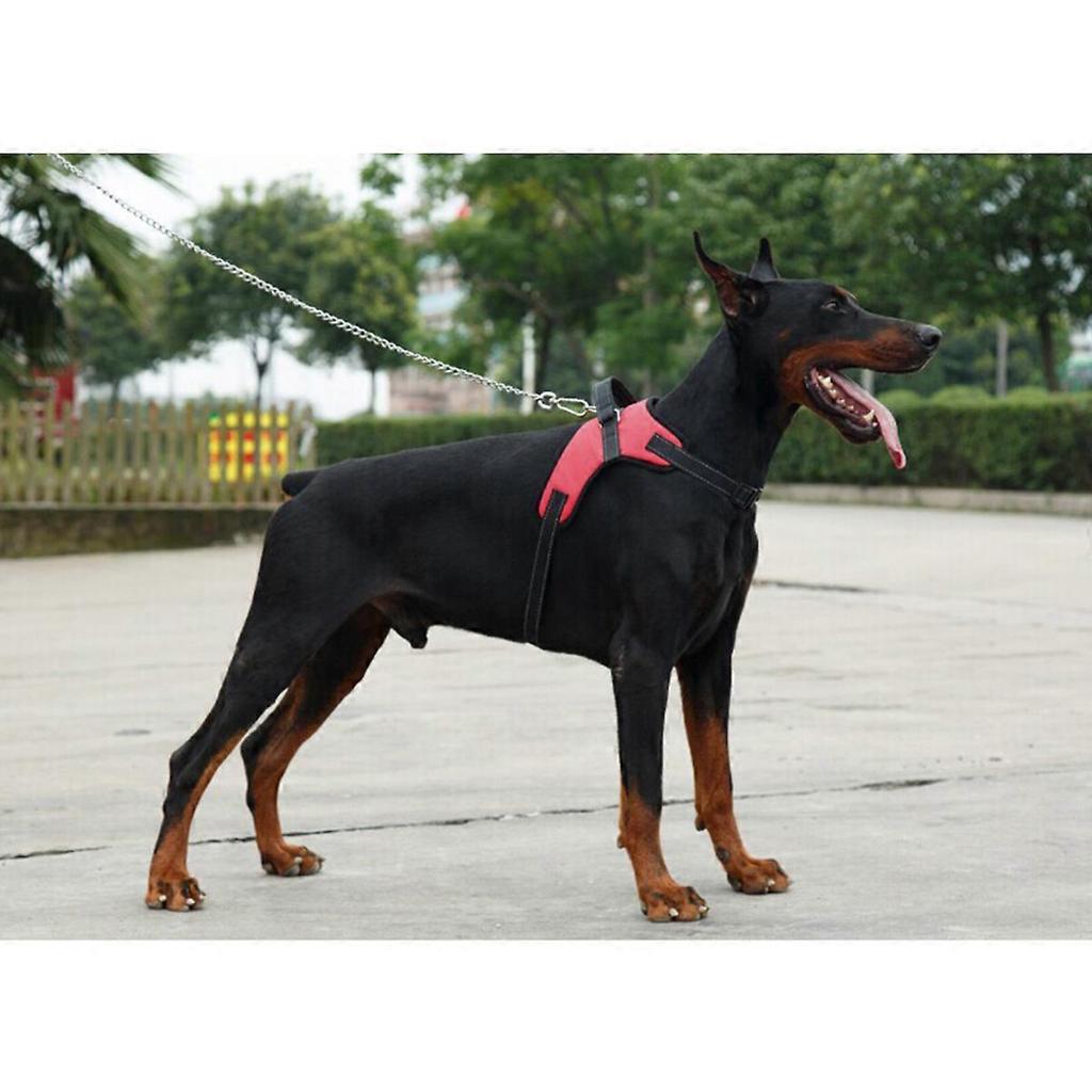 Puppy Harness Saddle Style Oxford Cloth Dog Harness for Dog Use Xl