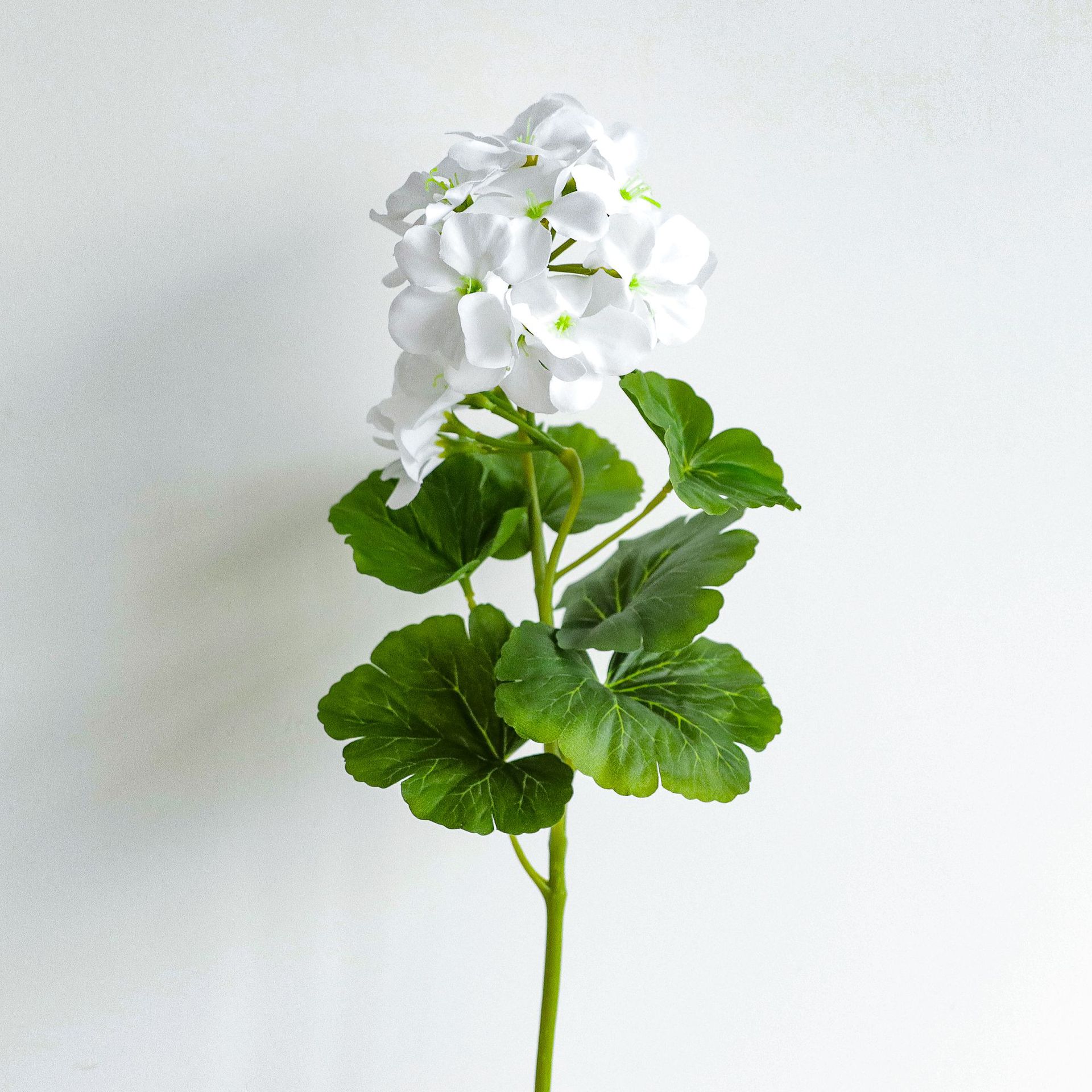 Artificial White Geranium Stem, Faux Geranium Flower with Green Leaves, Fake Geranium Plant for Home & Garden Decor чистый белый