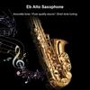 Eb Alto Saxophone Brass Lacquered Alto Sax Wind Instrument with Carry Case Gloves Straps Cleaning