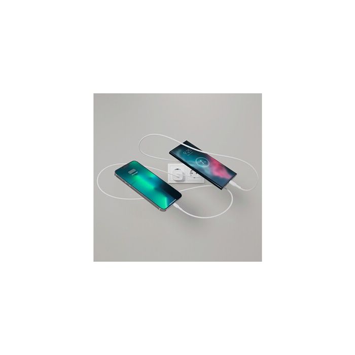 Chargeur secteur - Belkin - 65W - 2 ports USB-C - Câble USB-C 2m - Power Delivery