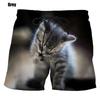 Fashion Cute Cat Graphic Board Shorts For 3D Printed New Casual Unisex Funny Animal Beach Swimming Shorts Trunks