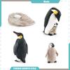 Toys Model Educational Simulated Animal Card Set Insect Plant Growth Cycle Cognitive Montessori Parish Home Open Learning Kids