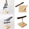 Multifunctional Parrots Stand Branch Stand Scratchers for Conure Lovebirds