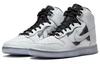 Nike Dunk High Se Chrome Women's DX5928-100