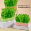Cat Grass Planter with Detachable Bottom Double Layer Contrast Color Non-slip Base Easy To Clean Plastic Pet Cat Sprout Dish Growing