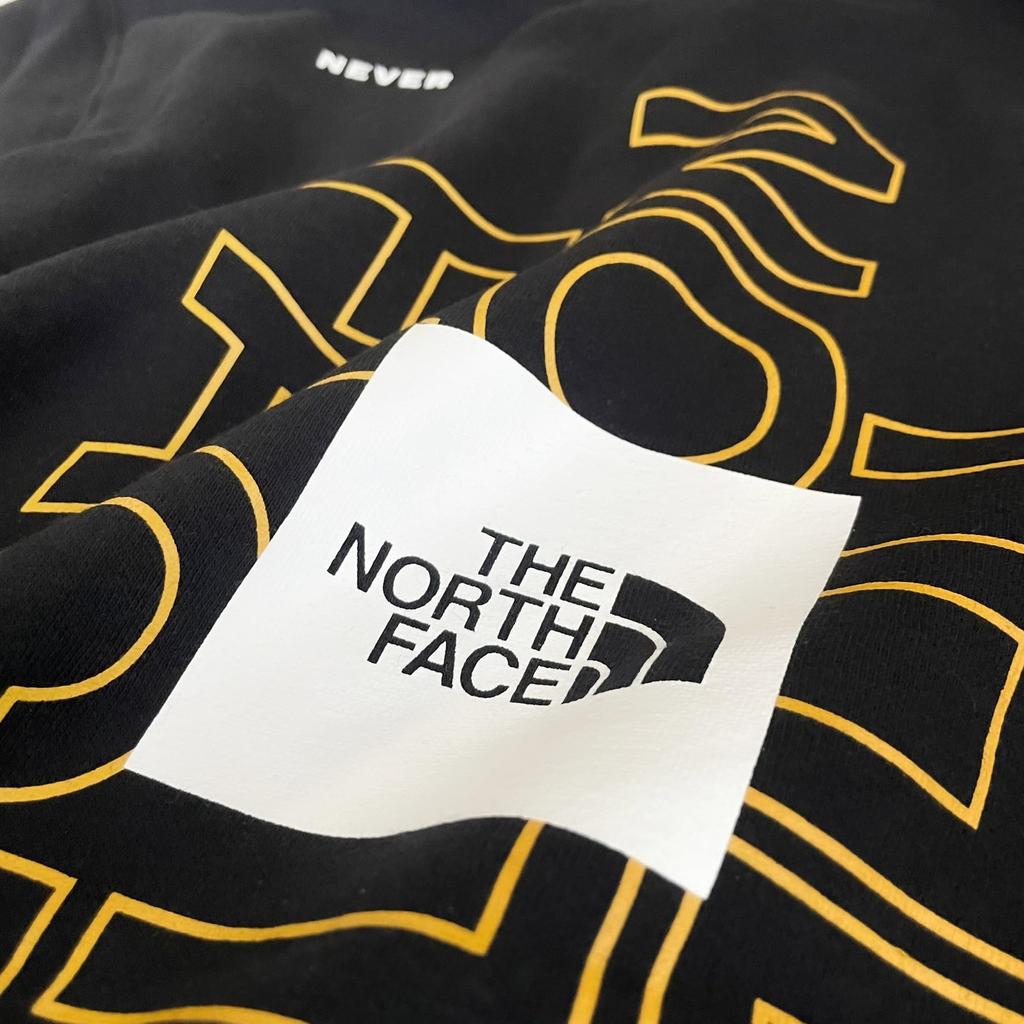 The North Face Brand Proud TNF Size with Back Print and Fleece Men's Hoodie, Black, XS, Lining.
