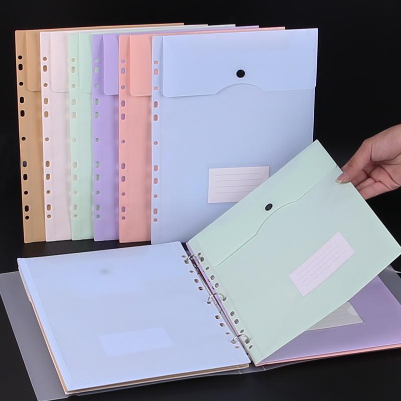 Transparent 3-Ring Binder & 11-Hole Sheet Protectors with Vertical Waterproof Document Bag