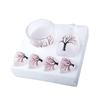 Japanese Plum Blossom Sake Set: Glass Warmer Pot & Wine Cup for Shochu and Baijiu