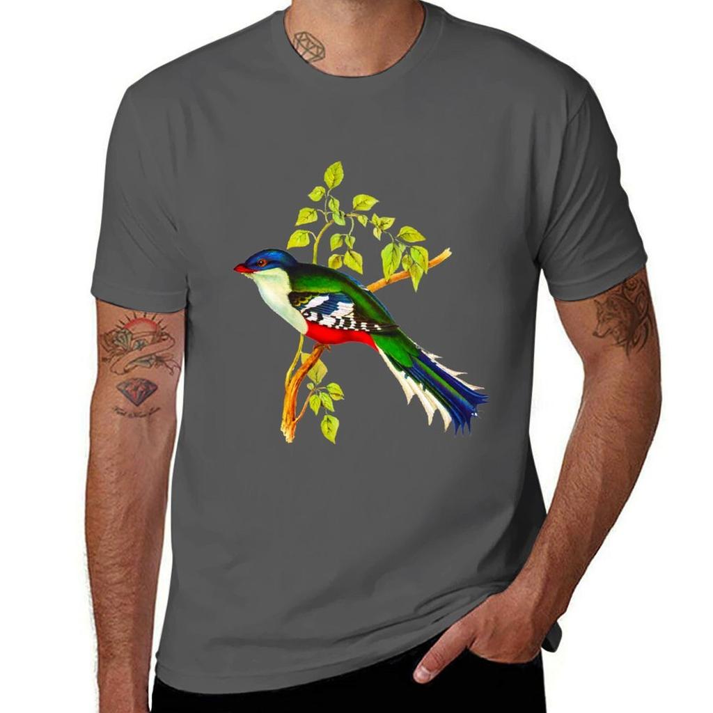 Illustration Of The Cuban Trogon Or Tocororo Tshirt Basic Casual Wear Short Sleeve Top Tshirt