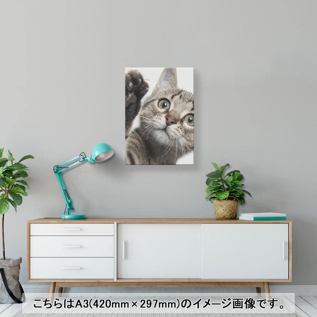 Art 420mm x Wall Wooden Stylish Interior Animal Photo Panel, Painting, Decoration, igsticker, 297mm, A3, Photo, Hanging, Frame, Decor, 002674, Animal,