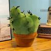 Cactus ornamentale simulato creativo, bambola cactus giocattolo di peluche, regalo per la casa