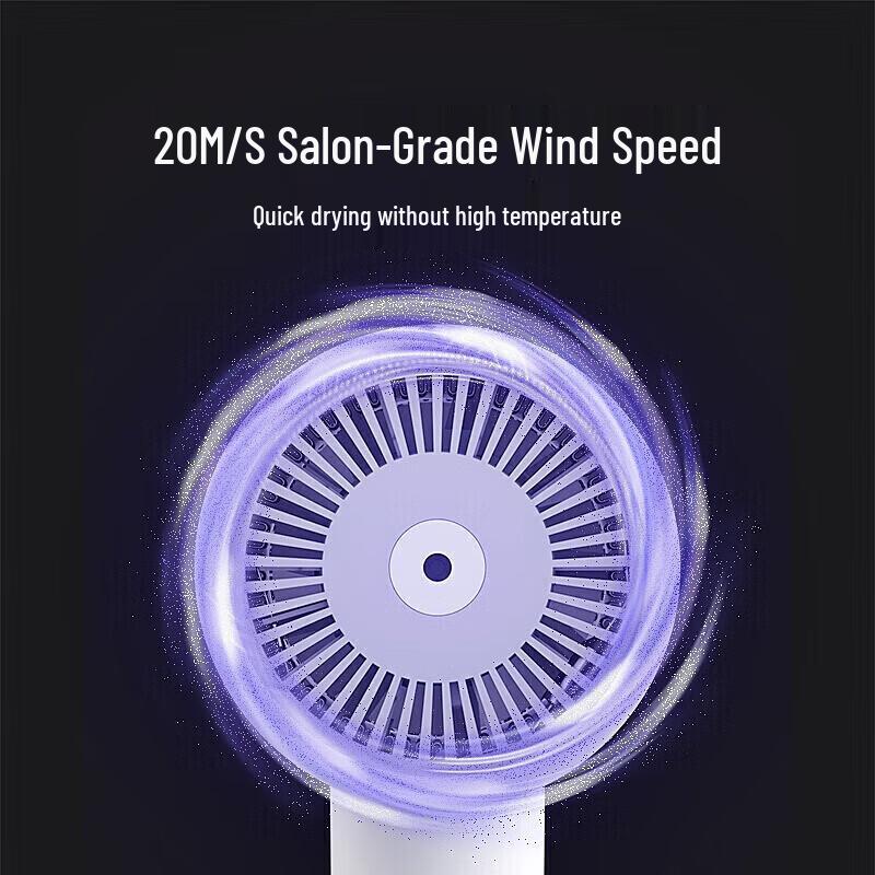 Xiaomi H300 Negativ-Ionen-Haartrockner