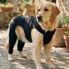 Atmungsaktiver Hunde-Bein-Rehabilitationsanzug Verstellbare Hunde-Kniebandage Haustier-Erholungsanzug Verstauchungs-Pflege