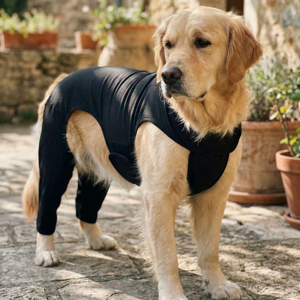 Atmungsaktiver Hunde-Bein-Rehabilitationsanzug Verstellbare Hunde-Kniebandage Haustier-Erholungsanzug Verstauchungs-Pflege