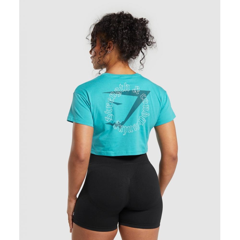 

Укороченный топ GYMSHARK Strength Conditioning Искусственный бирюзовый B7A6P TBNF