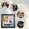 Pet Memorial Picture Frame 9x9Inch Wood Photo Frame for Loss of Dog Cats Sympathy Gift Dog Collar Souvenir Photo Sign