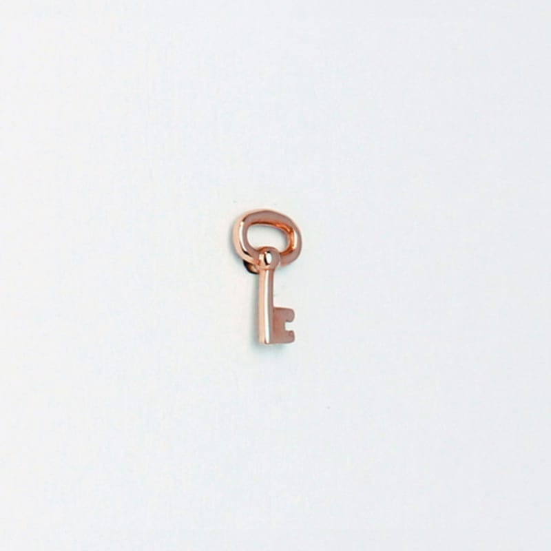 Less Is More 14K Gold Key Earring & Piercing