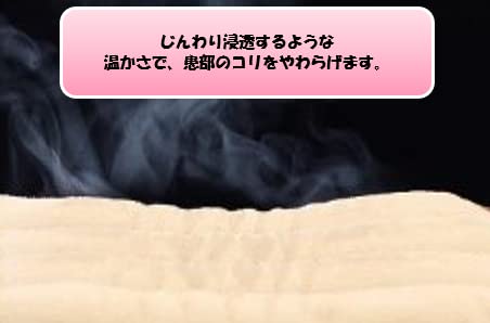 [Amazon Exclusive Brand] Chateau D'or Hot & Steam Pad, Microwave Heatable, Generates Warm Steam, Feels Like a Steamed Towel, Reusable (LL)