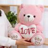 Cartoon Hugging Bear Plush Toy Sleeping Pillow - Gift Claw Machine Cloth Doll