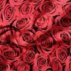 3pcs Valentine'S Day Rose Sea Comforter Cover Set - Vibrant Red Roses Pattern Bedding with Zipper Closure Valentine's Day Gift