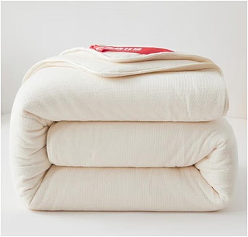 

Grace Fish Scale Net Warm Winter Quilt