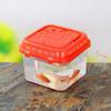 Plastic Portable Fish Tank Transparent Handheld Hamster Carrier Cage with Handle Random Color Reptile Feeding Box Aquarium
