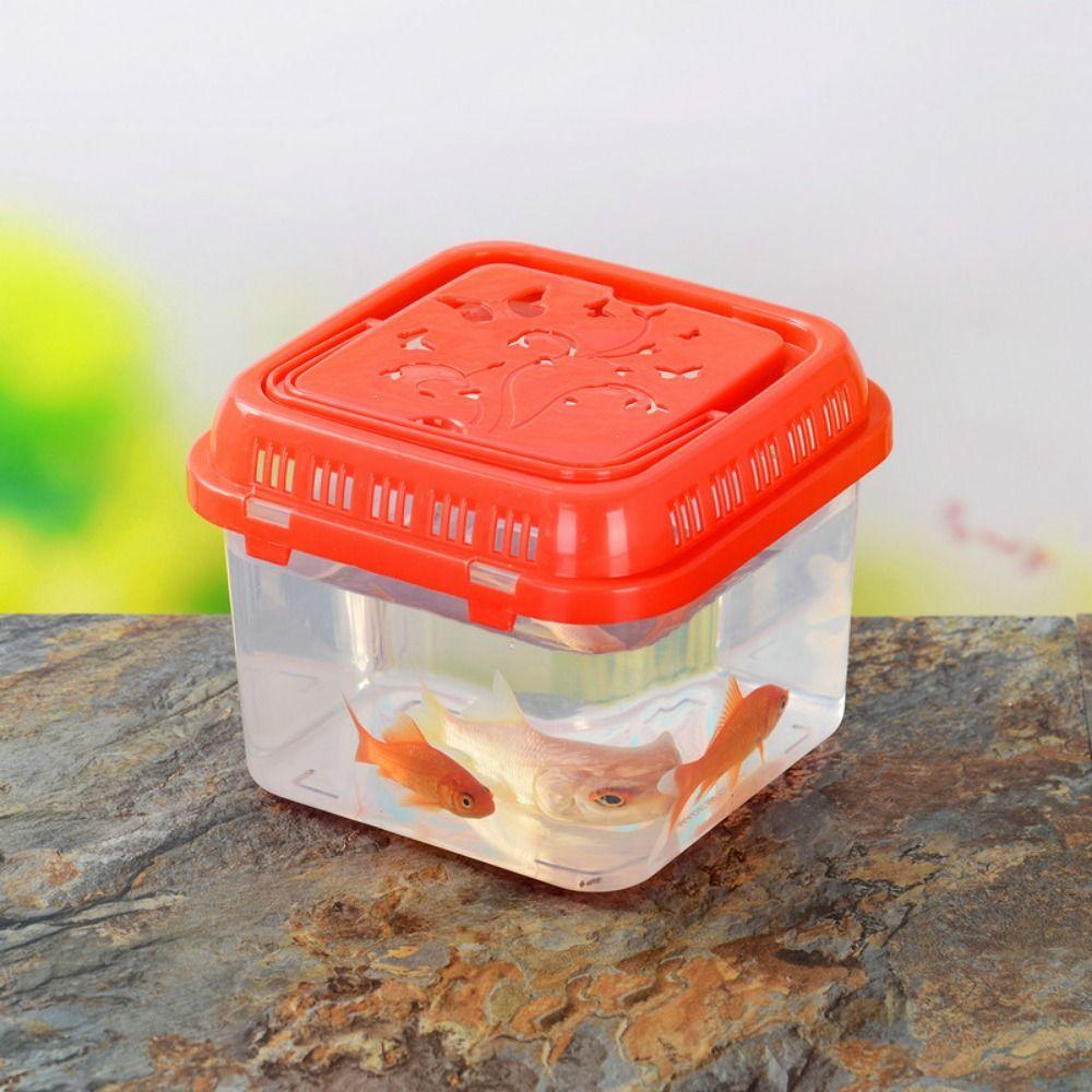 Transparente Reptilienfutterbox Kunststoff Mini-Fischaquarium Reptilientransportbox Tragbares Aquarium Zuhause