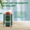 Mullein gummies met hoge potentie, heilzaam voor de longgezondheid; toortsbladextract voor longreiniging; geschikt voor volwassenen.