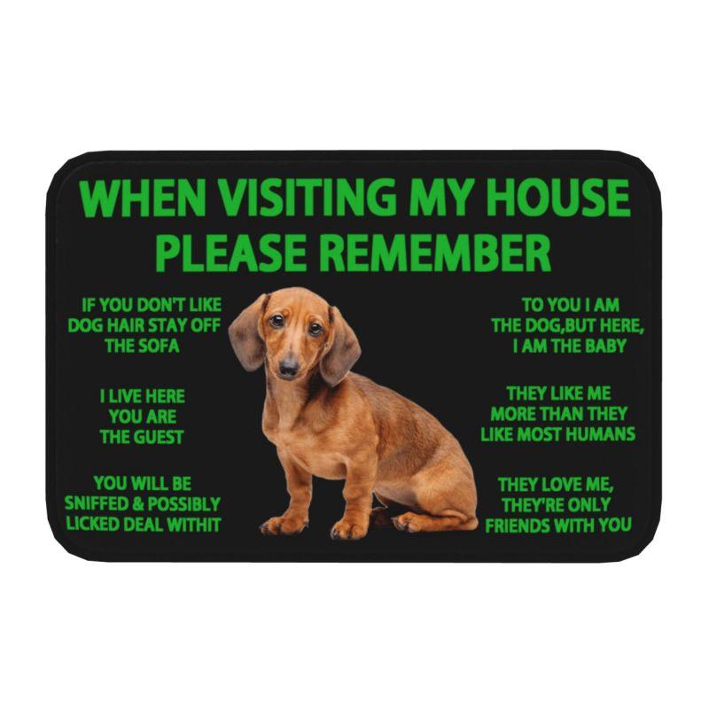 Lovely Pug Dog Front Door Floor Entrance Mats Outdoor Bathroom Kitchen Doormat Garden Carpet Rug