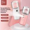 Portable Nano Facial Sprayer USB for Quick Hydration Skincare on the Move