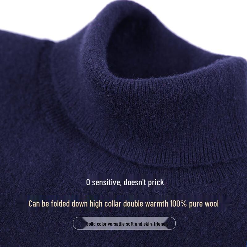 JOW Men's Pure Wool Turtleneck Sweater