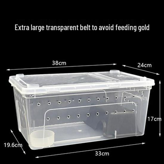 Reptile Habitat Tank for Silkworms, Spiders, Frogs, Snakes, Lizards, Snails, Insects, and Turtles