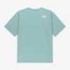 The North Face True Ta Short Sleeve Tee Grayish Turquoise Nt7us24m