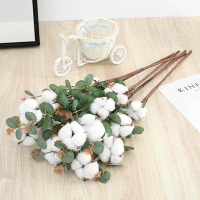 5pcs Dry Flowers Cotton Eucalyptus Stems Cotton Flower Heads with Eucalyptus Leaves Floral Stems for Home Farmhouse Vase Decoration