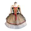 Puffy Swan Lake Ballet Dress Sequin Lace Kids Ballet Dress Fashion Ballet Tutu Skirt  Children